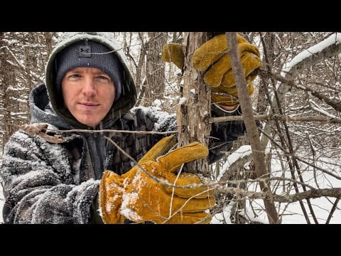 ASMR Winter Tree Massage
