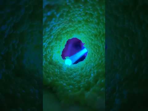 New tunnel unlocked 🔓✨ #asmr #echo #tingles #mouthsounds #sleep