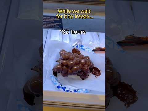 Proof America is living in 2050… #food #eating #mukbang #chocolate #snack