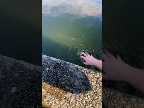 guess the celebrity asmr game at the lake #asmr #asmrgames #oddlysatisfying #fyp #relax nail tapping