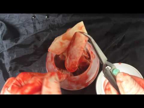 Latex Gloves Layering👐 💉 Used and Bloody  [[ASMR]]