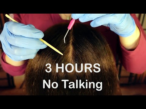 ASMR 3 HOURS ~ Gentle Scalp Check ~ Sleep, Study, Focus ~ NO TALKING Just Sounds