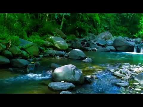 Relaxing Cozy Waterfall Sounds of Soothing Nature Music Spring Ambience Relaxation
