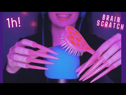 Asmr Deep Mic Scratching , Brushing & Stroking | Asmr No Talking for Sleep with Long Nails - 1H