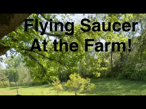 Let’s Go See the Flying Saucer?!?! ~ Crunchy Leaf Hike on the Farm