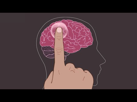 𝗔𝗦𝗠𝗥 피큐손은 팅글손 ㅣ 고인물용 뇌마사지