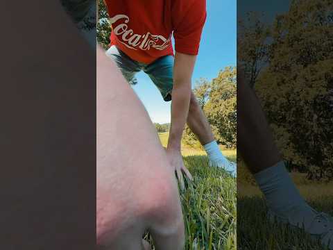 Nature asmr #asmr #raeasmr #visualasmr #upclose #natureasmr #natureambience