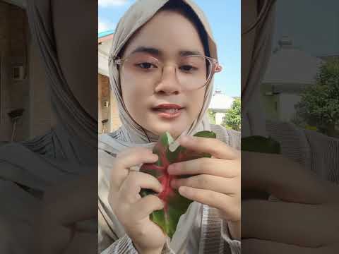 Makeup simple dari alam ni 🌿🍃 #asmrvideo