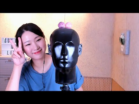 [LIVE] 덤희와 함께 힐링하는 밤 |  ASMR LIVE with dummyhead