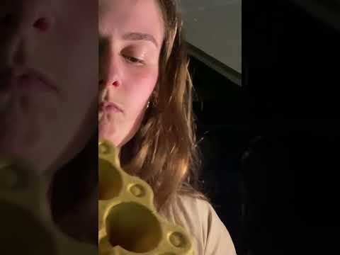 Eggbox Sounds 🥚 Textured Tingles #asmr #relax #Shorts