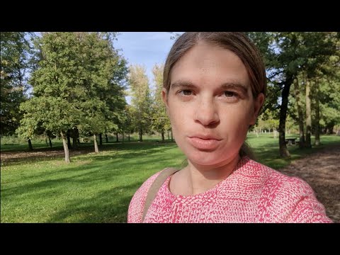 Balade d'automne et discussion sur le prochain projet ASMR