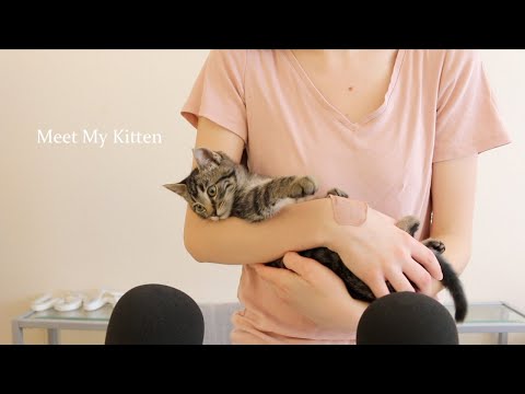 ASMR - I Adopted a Kitten! + Announcement