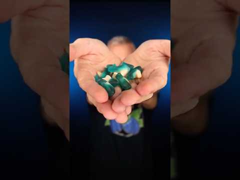Blue Raspberry Shark Gummies from Pure Sugar #asmrcandy #candyasmr