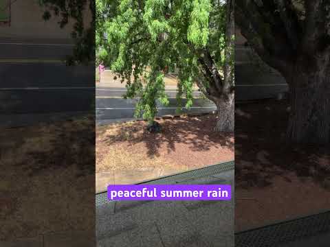 Take a second to stop and breathe and enjoy the summer rain with me #asmr #rainsounds ￼