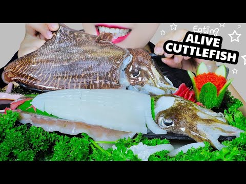 ASMR ALIVE CUTTLEFISH (SASHIMI X STIR FRIED CUTTLEFISH WITH GLASS NOODLES X DEEP FRIED CUTTLEFISH)