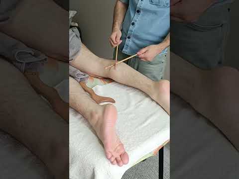 ASMR SPORTS AMAZING MASTER MASSAGE  #massage #easyturkish #relax #chiropractor #challenge