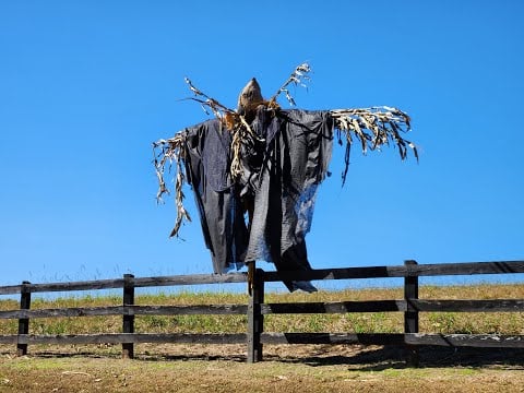 Outdoor Scarecrow/Dementor Type Structure Blowing in the Wind (No Talking)