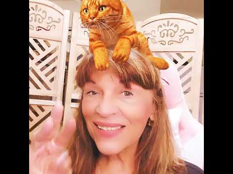 LA SIQUIATRIA Y EL GATO🤗ASMR🤗#shorts #cortos