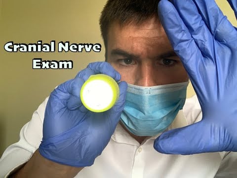 ASMR | Medical Visit & Cranial Nerve Exam W/ Brutally Honest Doctor