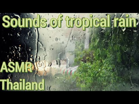 ASMR Sounds of tropical rain Thailand