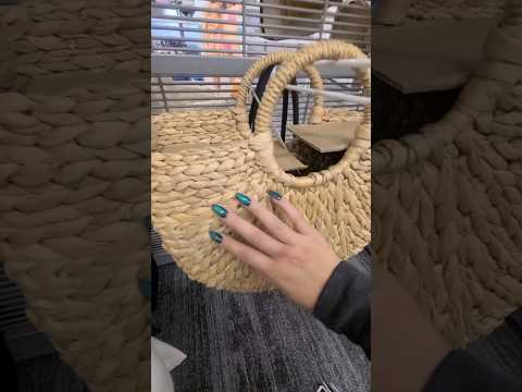 ASMR 👜Fast Tapping on Purses #asmr #shorts #publicasmr