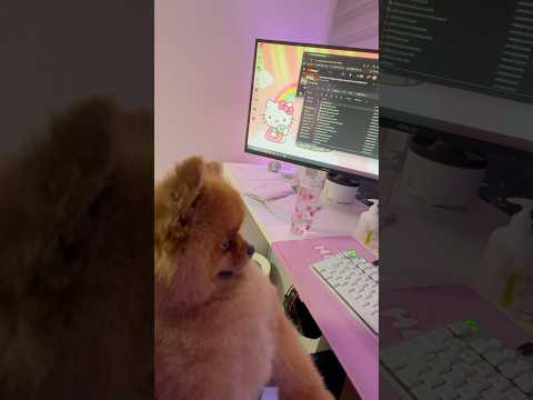 Behind The Scenes ~ Actor Checking His Work 🤣 #asmr