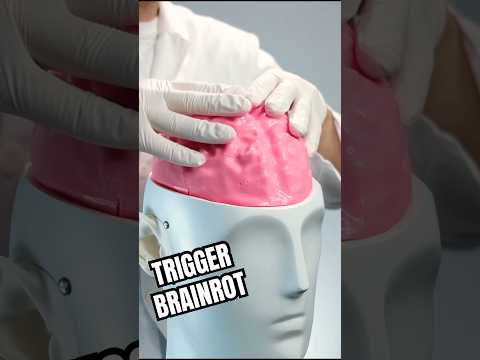 Too Many Triggers for Your BRAIN!! 🧠 #asmr #shorts
