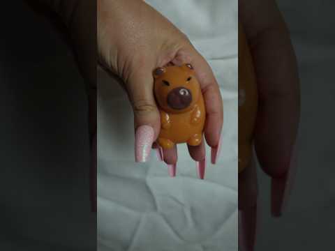 #squishy #asmr #capivara #squishypackage