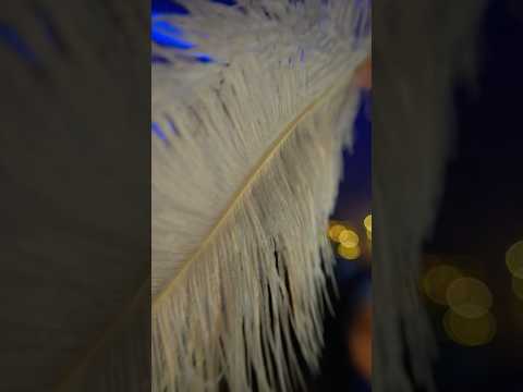 Nouveau trigger : plumes ! 🪶 #asmr #feathers #douceur #asmrsounds
