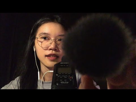 ASMR Brushing Your Face / Brush sh sh...