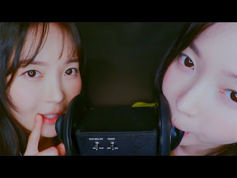 ASMR Less Makeup~ Twin Ear Licking Eating 쌍둥이 이어리킹 이팅