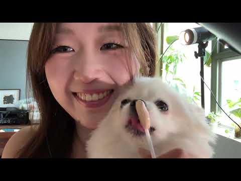 ASMR | Eating Lollipops Asmr and Wet Mouth Sound Relaxing for Deep Sleeping