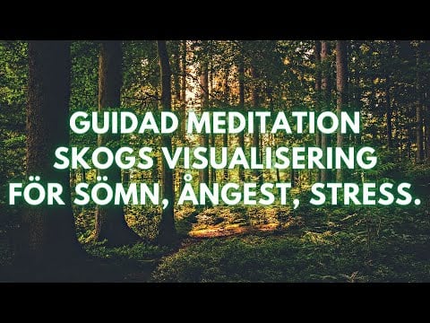 ASMR Guidad Meditation | Skogs Visualisering för sömn, ångest, stress💚