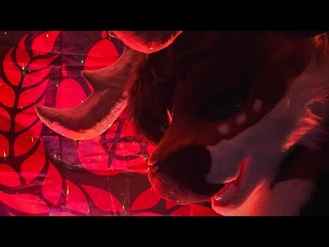 [Furry ASMR] Live ASMR For That Late Night Insomnia