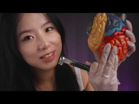 ASMR Pass the Test or Get a Lobotomy