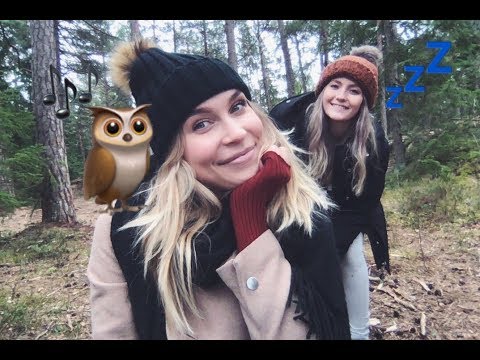 ASMR Metsän ääniä 🌲🐻🍃