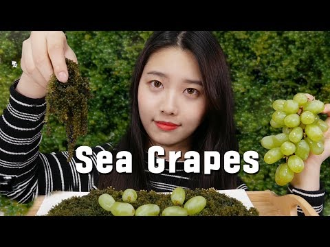 바다의 청포도?🌿바다포도 ASMR 리얼사운드 먹방[Eating sound asmr],꿀꿀선아,suna asmr,海ぶどう ,sea grape,green caviar,