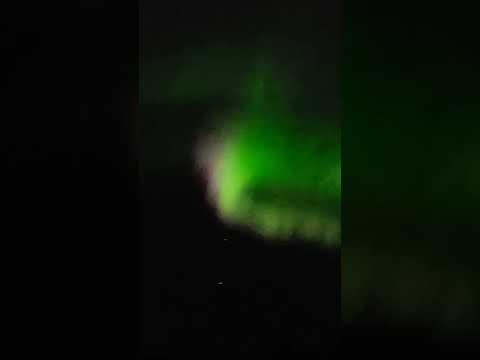 AK Aurora Lights! ✨️ #beautiful #aurora #shorts