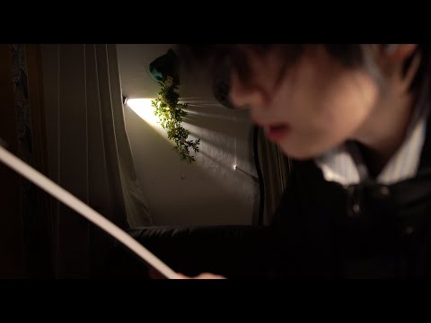 The Blackest Ear Picking Shop ASMR
