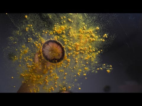 ASMR | Come Here, You’ve Had a Long Day… 🌙(Comfort Talking, Triggers On The Glass,Rain Sounds)