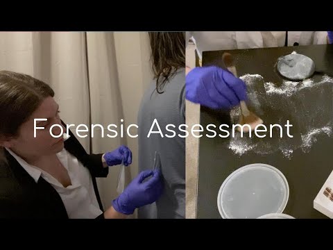 Real Person ASMR - Forensic Assessment and Room Search
