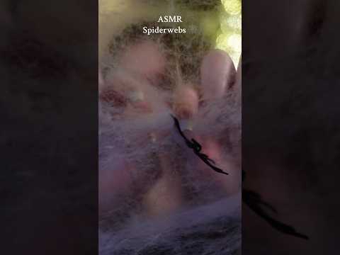 ASMR Spiderwebs 🕸️ #asmr #ytshorts #youtubeshorts
