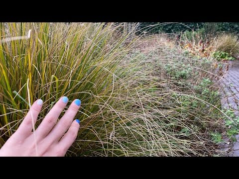 Nature ASMR 🌿🍃 | Fast and Aggressive Lofi on a Rainy Day 🌦️