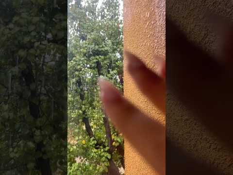 rain + window tapping asmr 🌧️👆💝 #asmrtapping #rainsounds