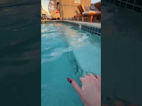 do you prefer the pool jets on or off #ASMR #NailTapping #LofiASMR #ASMRWhispers #ASMRWhispering