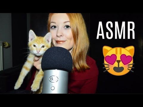ASMR: Chaton 😻