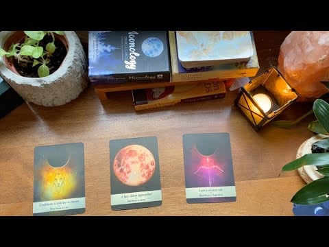 What You Need to Hear Right Now ✨ Intuitive Tarot & Oracle Card Reading | Collective Energy Message