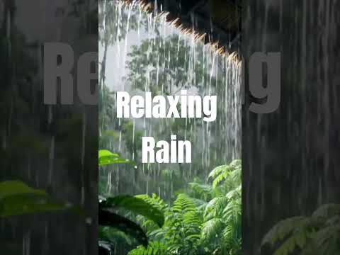 Calm and Relaxing Rain #relaxing
