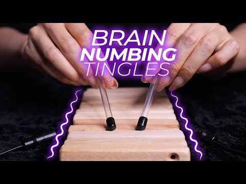 ASMR Giving You Brain Numbing Tingles for Guaranteed Sleep (No Talking)