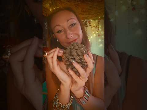 ASMR Acorn Tapping & Stroking: Enchanting Rhythmic Sounds for Relaxation #asmr